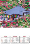 Srie - 370  375 